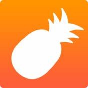 菠萝视频app官方版