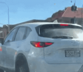 上课与同桌打闹的1000字检讨书，上课与同桌打闹的600字检讨书