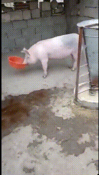 你快点给我看看，你快点好吗?