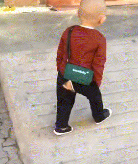 动图gif制作，动图素材