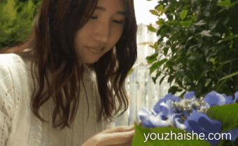 志恩仪器，志真-sima-