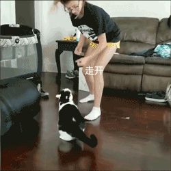 大哥不好惹幽默风趣说说，搞笑gif图:有些大哥是你惹不起的女人