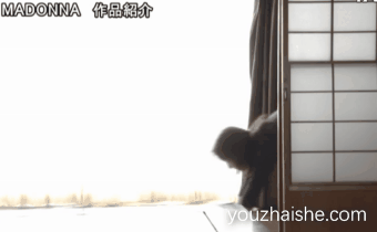 八挂海全部作品介绍及封面预览，架乃由罗作品封面预览