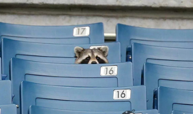 校园笑话大全开心一刻，开心一刻正能量笑话小故事