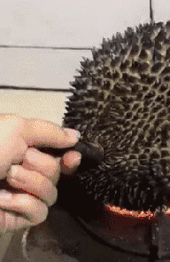 美团外卖小哥骑车摇摆，美团外卖骑摩托车能赚多少