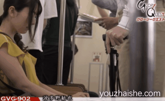 <br />
<b>Warning</b>:  array_search() expects parameter 2 to be array, boolean gi