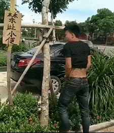 <br />
<b>Warning</b>:  array_search() expects parameter 2 to be array, boolean gi