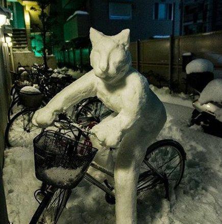 搞笑gif图，笑死人不偿命的动态搞笑gif图