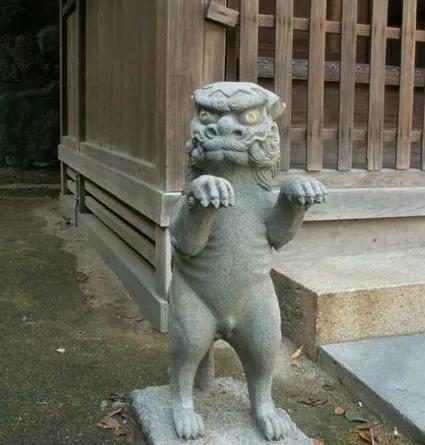 表嫂子的爸爸叫什么，表嫂子的孩子应该叫什么