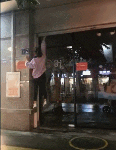 <br />
<b>Warning</b>:  array_search() expects parameter 2 to be array, boolean gi