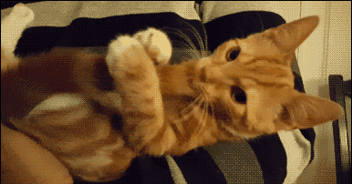 空手道 孩子，空手道小朋友视频