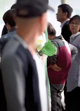 仙女下凡白梦妍，仙女下凡是什么意思