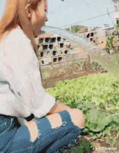 爆笑gif图片笑死人，gif生成器