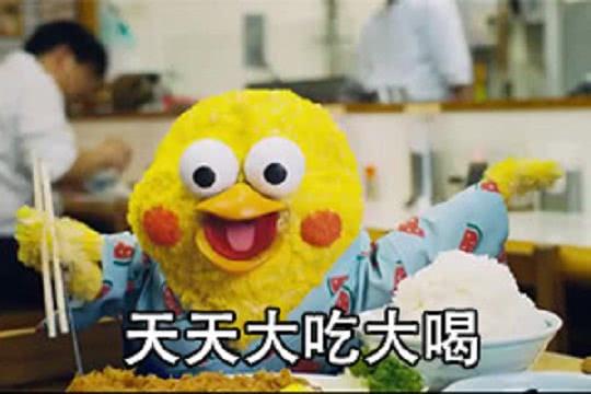 猪肉白菜炖粉条的家常做法，白菜猪肉馅饺子