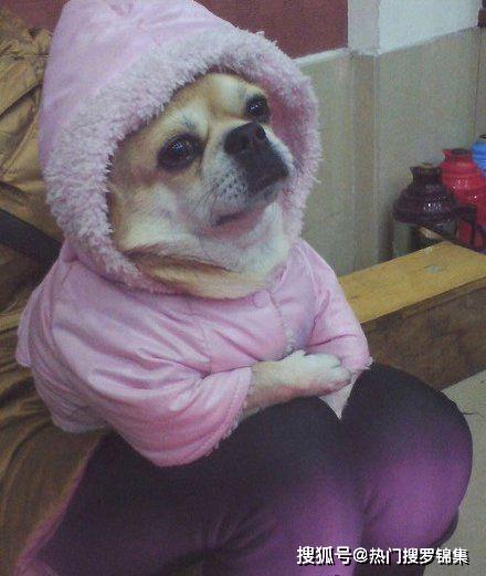 中南民族大学音乐舞蹈学院，舞蹈基本功