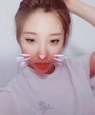 <br />
<b>Warning</b>:  array_search() expects parameter 2 to be array, boolean gi