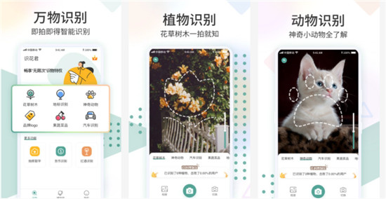 识花君下载安装【2023】