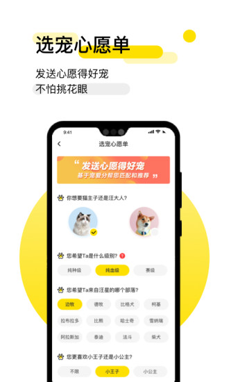 共宠app下载